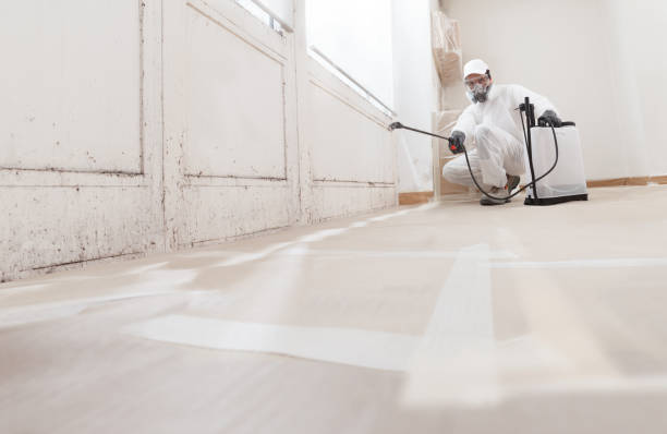 24/7 Emergency Mold Removal experts in Springfield, PA
